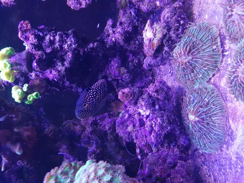 20210721_211408.jpg