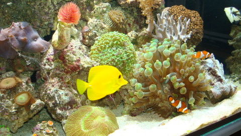 DSC00592.JPG