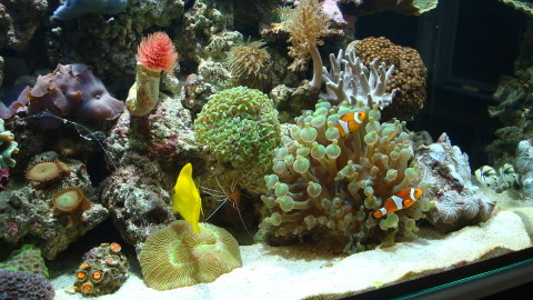 DSC00594.JPG