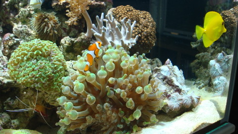 DSC00598.JPG