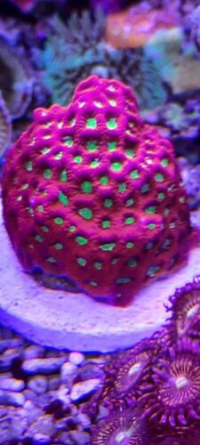 20210928_170439.jpg