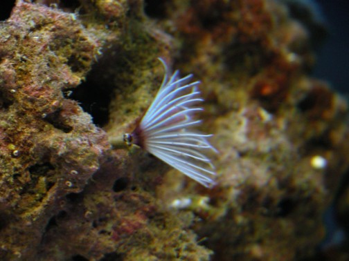 DSCN1174.jpg