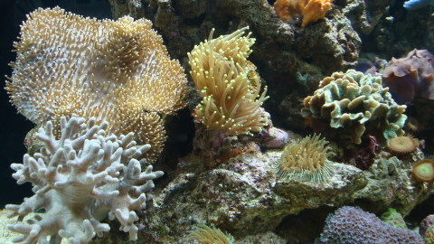 DSC00606.JPG