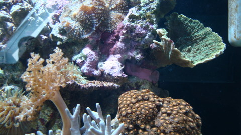 DSC00608.JPG