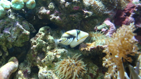 DSC00609.JPG
