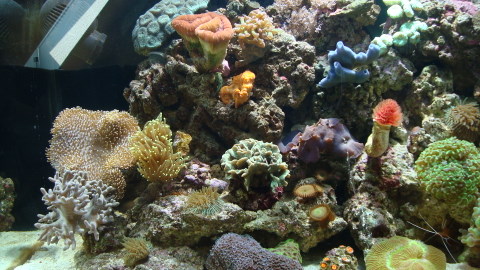 DSC00614.JPG
