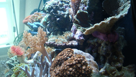 DSC00607.JPG