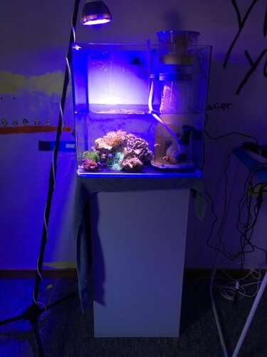 5. setup - 113l  nr 2. med skummer