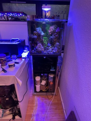 FTS