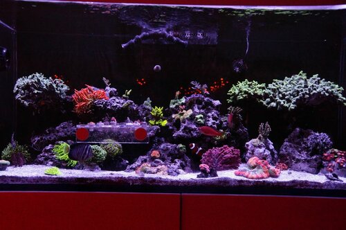 Full Tank