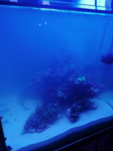 IMG_20220102_210210.jpg