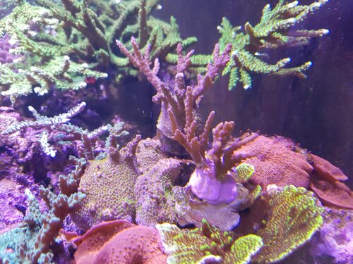 20220115_133425.jpg