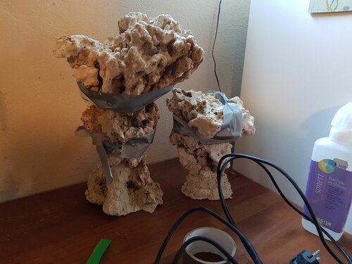 20220123_134320.jpg