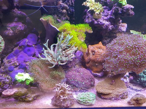 20220123_135033.jpg