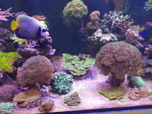 20220123_135043.jpg