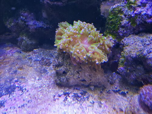 20220129_170816.jpg