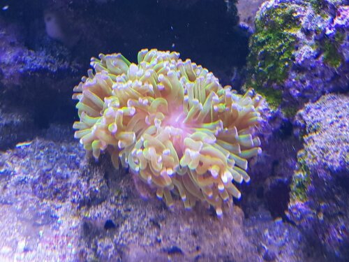 20220129_170848.jpg
