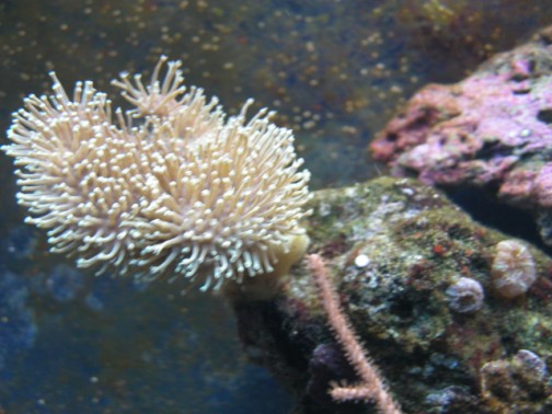 DSCN1665.jpg