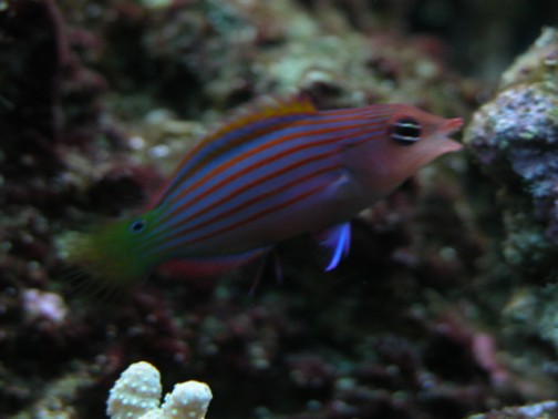 DSCN1652.jpg