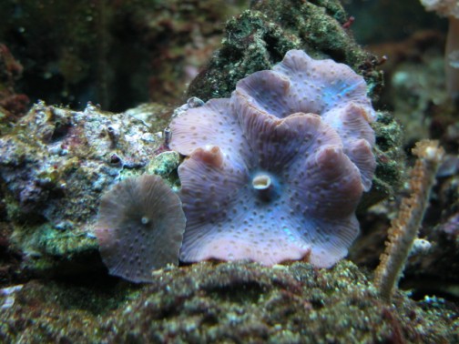 DSCN1637.jpg
