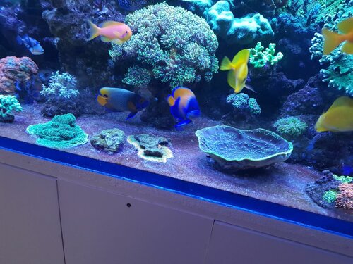 20220511_204133.jpg