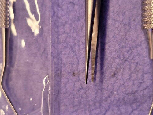 Det her er min nye spidse pincet. Kirurgisk rustfrit stål. Bøjer ikke og holder fast om det den nu griber fat i. En fornøjelse at arbejde med.