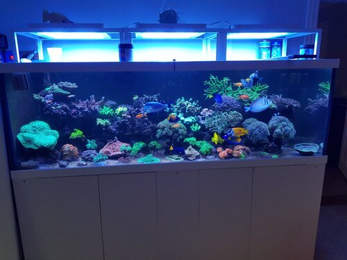 20220826_195410.jpg