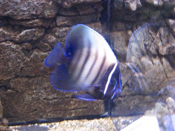 Bonnie 029.JPG