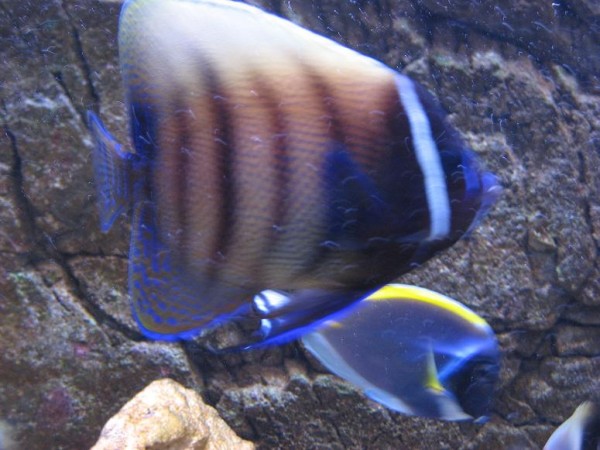 Bonnie 028.JPG