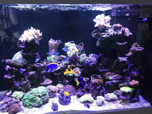 648BC2DA-2D0F-4FDA-BED9-2FEC1D877374.jpeg (173.85 KiB) Vist 3621 gange Fts