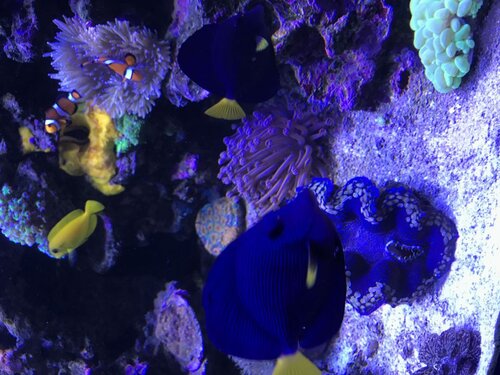 1E7DCF06-6C82-453F-AA7F-AB67B08A260E.jpeg (137.63 KiB) Vist 3613 gange Lidt flere