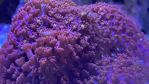 51989043-7A6A-422E-8127-FA242D5E05FA.jpeg