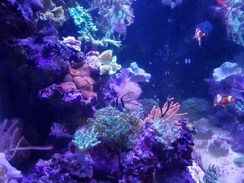 20220927_101235.jpg