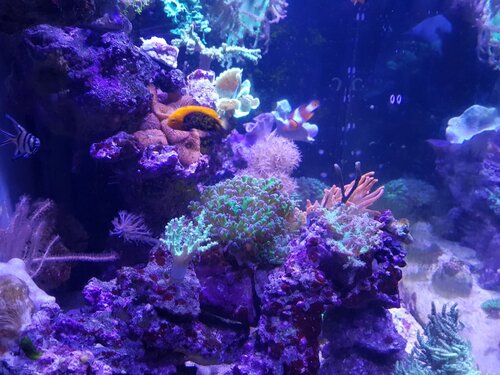 20220927_101238.jpg