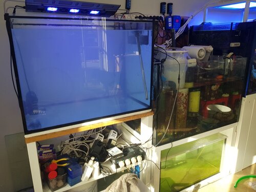 20221003_155238.jpg