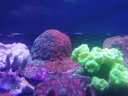 20221003_210513.jpg