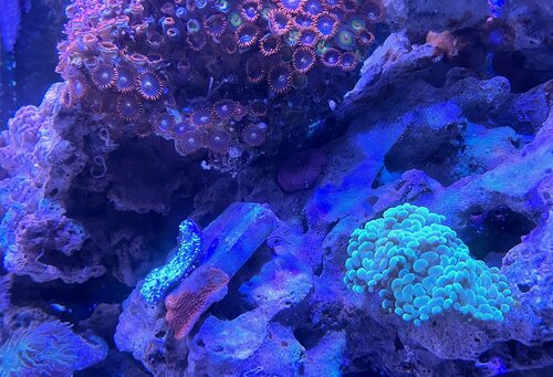 IMG_0561.jpeg