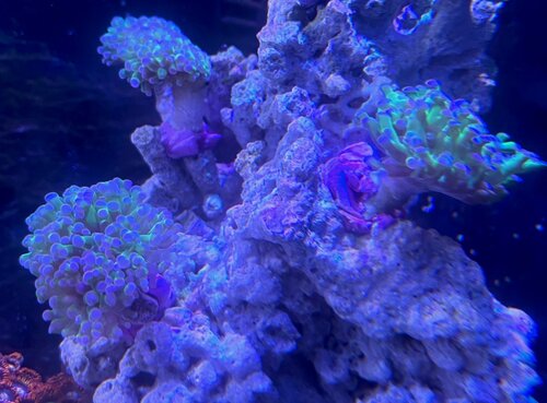 IMG_0560.jpeg