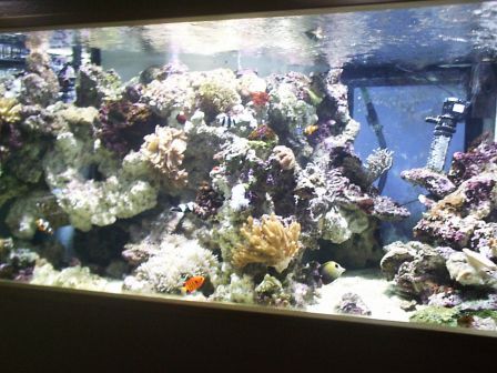Old Aquarium 02