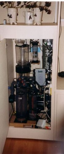 2004 aquarium build