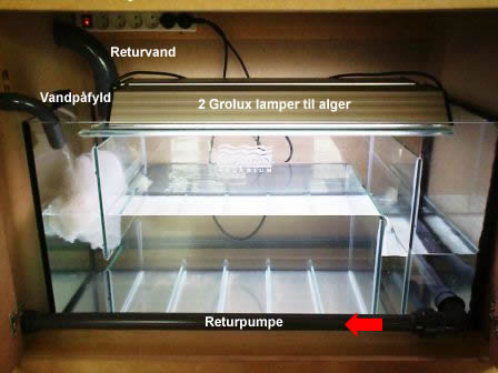 2004 aquarium build
