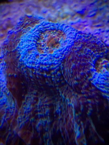 D538112B-03C6-4C90-B20F-3FD7C806B269.jpeg