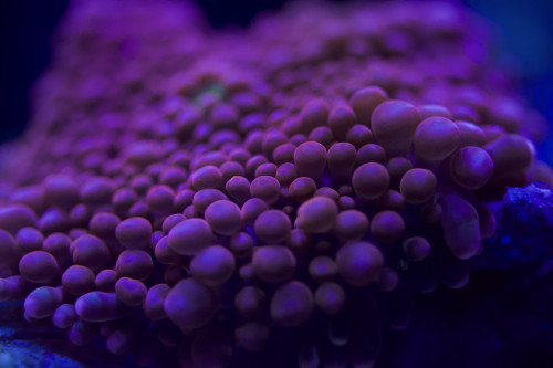 Test foto 1.jpg