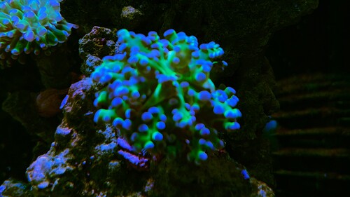 71C2B27B-9F64-4FF1-8F30-BBF3FB39AA54.jpeg