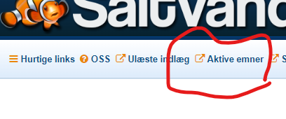 Aktive emner1.png