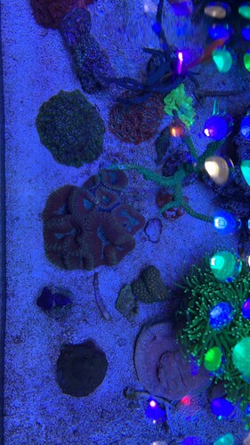 2F0FD9C0-F322-4C5D-AC20-2B6E5E75F06E.jpeg