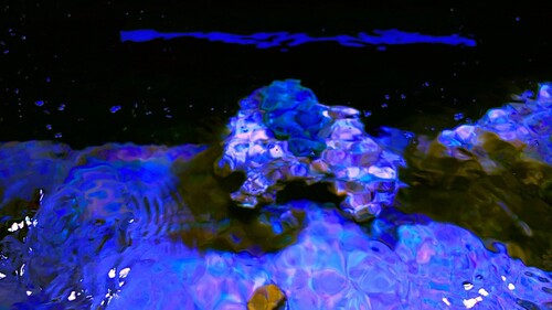 IMG_0866.JPG