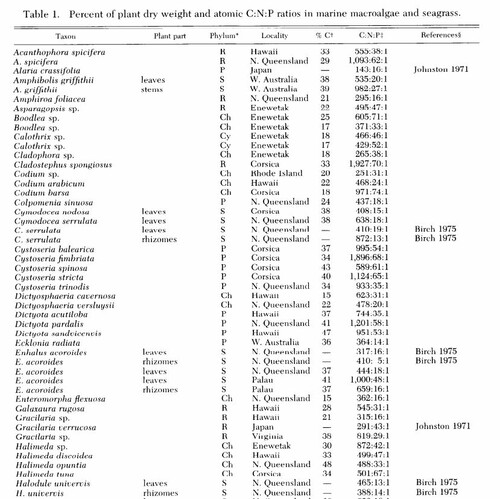 CNP algae.JPG