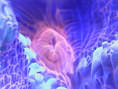 20230110_19_41_58.png