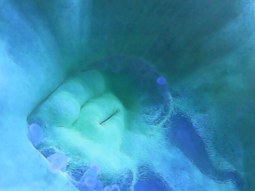 20230110_19_39_52.png
